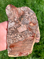 Chipboard Rhyolite