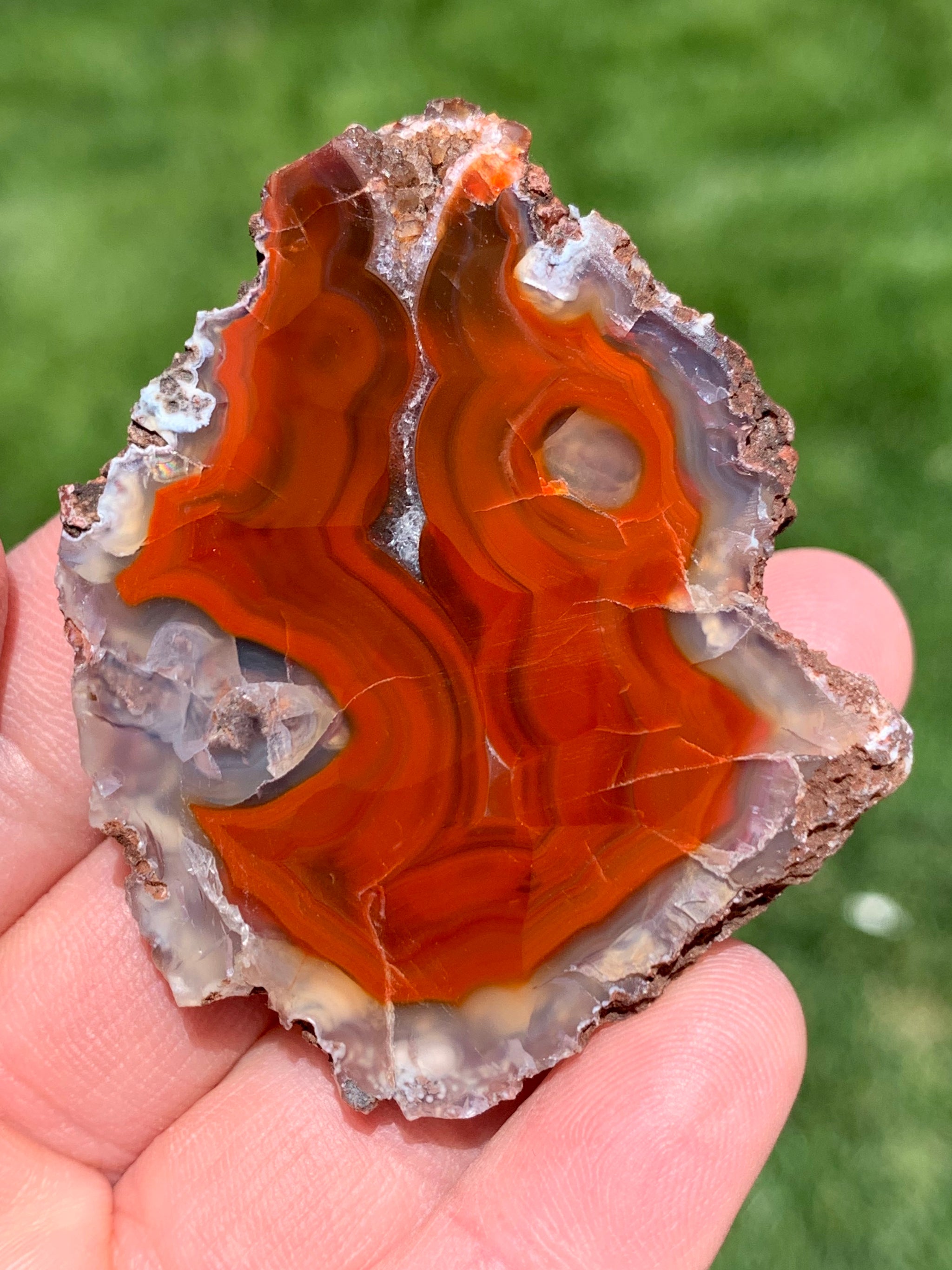 Condor Agate 34.24 ct. Fancy Cabochon 41.80 x 23.50 online x 5.30 mm y100174 Orange and Brown Gemstone Loose Gem Stone Cab Smooth